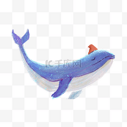 蓝鲸图片_鲸鱼动物