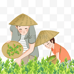 绿茶茶叶图片_茶园采茶劳动人物