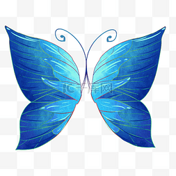 蓝色蝴蝶翅膀