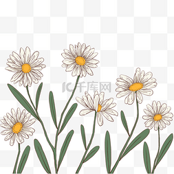 线型花图片_勾线型描边的美丽雏菊花束