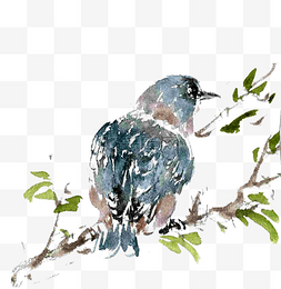 彩色水墨图片_蓝色的小鸟