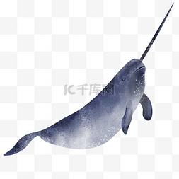 独角兽头饰图片_独角鲸海洋动物水彩蓝色