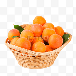 一篮杏子黄杏