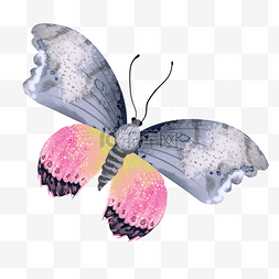 彩绘装饰图片_波西米亚复古蝴蝶彩绘装饰
