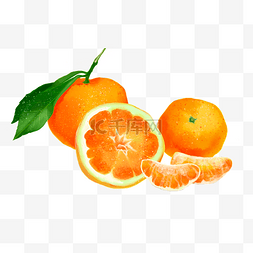 水彩手绘水果之橘子