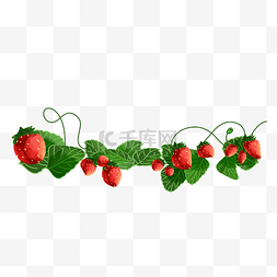 草莓采摘图片_新鲜水果草莓