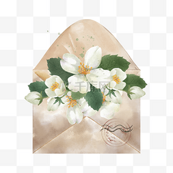 浪漫白色花瓣图片_信封水彩花卉植物复古白色