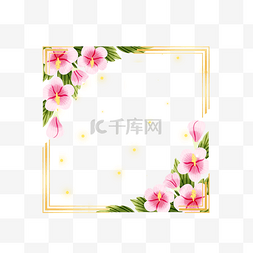 方形粉色边框图片_木槿花卉韩国方形金线边框