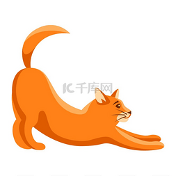 拉伸猫的风格化插图可爱的小猫宠