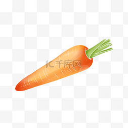 水彩红色水彩图片_水彩蔬菜胡萝卜