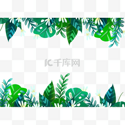 热带植物叶子边框