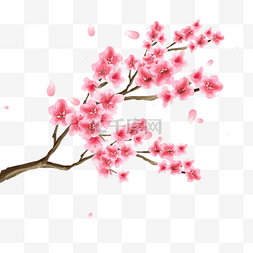 春天桃花朵朵开水彩花卉