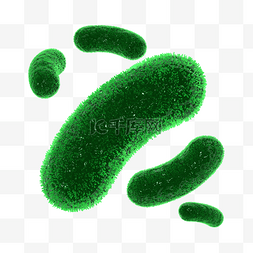 免疫细胞细胞图片_C4D3D细菌绿色细胞病菌病毒