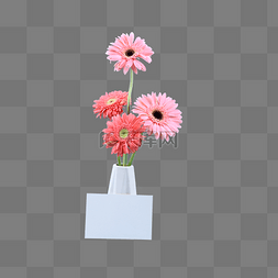 创意静物摄影花朵插花