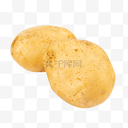 土豆图片_绿色蔬菜土豆
