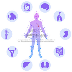 标志健康图片_医学背景。人体解剖学.