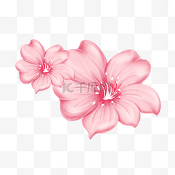盛开的粉色花瓣图片_粉色花瓣卡通插画