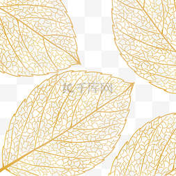 金色质感树叶底纹叶脉叶子