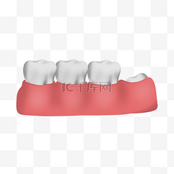 牙齿智齿牙龈口腔立体