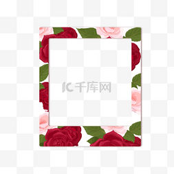 白色close图片_花卉植物宝丽来玫瑰相框