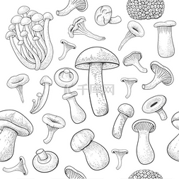 蘑菇图案无缝雕刻的可食用食物草
