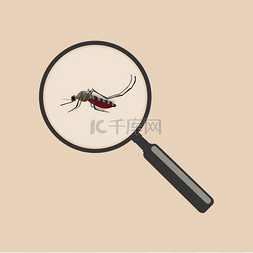 magnifier图片_Mosquito with magnifier.. Mosquito with 放