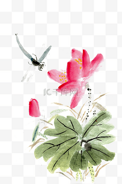 植物水墨画图片_荷花与蜻蜓水墨