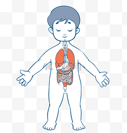 医疗人体组织器官图片_医疗人体组织器官