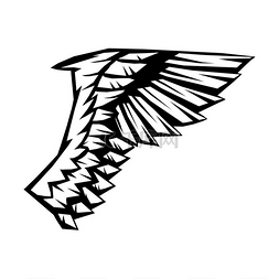 鹰图形图片_鸟类或天使的翅膀。