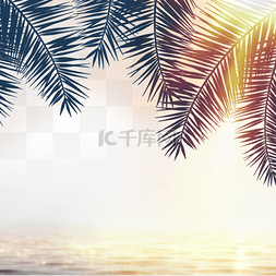 棕椰树图片_夏日阳光椰树海洋边框