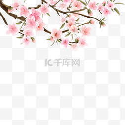 粉色花树图片_水彩花卉桃花盛开