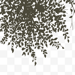 黑白植物树木叶片剪影