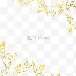 蝴蝶金色边框