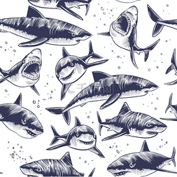 鲨鱼无缝模式。手绘水下海鱼航海