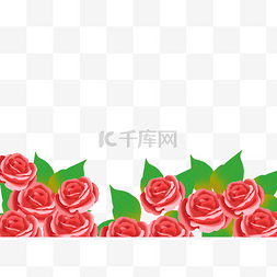 七夕红玫瑰鲜花底边