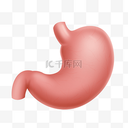 人体部头线稿图片_人体器官胃部