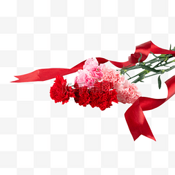 母亲节康乃馨鲜花和红丝带