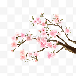 粉色水彩花卉图片_水彩桃花盛开花卉