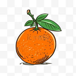 橘子手绘橘子图片_卡通风格水果元素