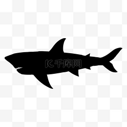鱼剪影海洋生物鲨鱼