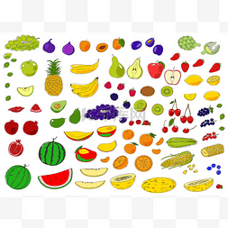菠萝油手绘图片_鲜艳的水果和浆果
