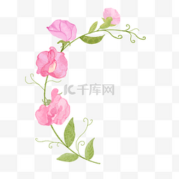 文字印刷图片_水彩粉红色装饰豌豆花
