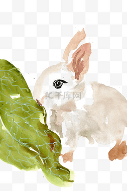 大的吃小的图片_吃绿叶的大白兔