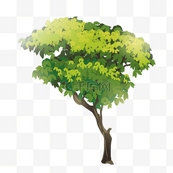 绿色大树图片_梦幻仙侠景观树绿色大树