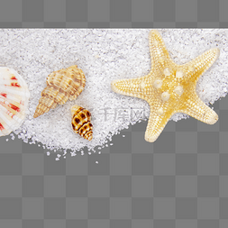沙子扇贝海星海螺