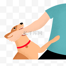 狗图片_狂犬病狗咬人