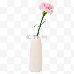 花朵粉色小清新图片_小清新康乃馨花瓶摆件