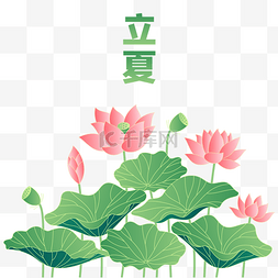 大暑小暑节气图片_立夏节气二十四节气夏天夏季荷花