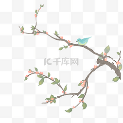 中国风系列包装图片_寒食节春季花枝花鸟