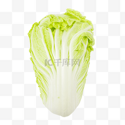 新鲜图片_绿色蔬菜白菜
